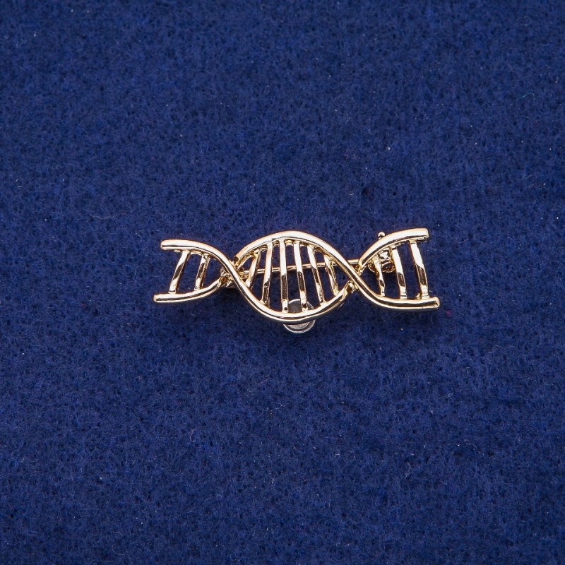 Broche Espiral ADN 13×40 mm, metal dorado
